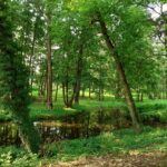 Wybierz się na wirtualny spacer po muzeum [ZDJĘCIA] Radio Zachód - Lubuskie