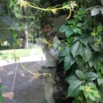 „Koncert na dwa serca” - reportaż Cezarego Galka Radio Zachód - Lubuskie