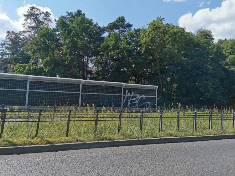 fot. Bartosz Schaefer