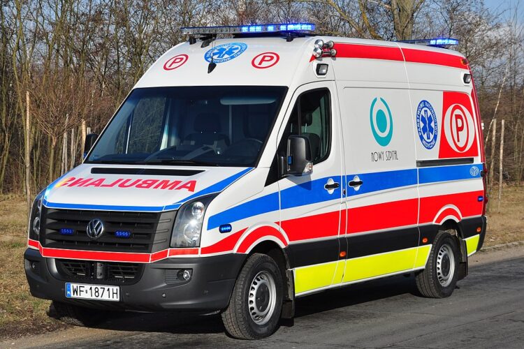 Fot. Karol Szadkowski - Own work, CC BY-SA 4.0, https://commons.wikimedia.org/w/index.php?curid=52376025