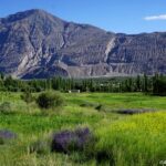 „W drodze…” reportaż Izabeli Patek Radio Zachód - Lubuskie