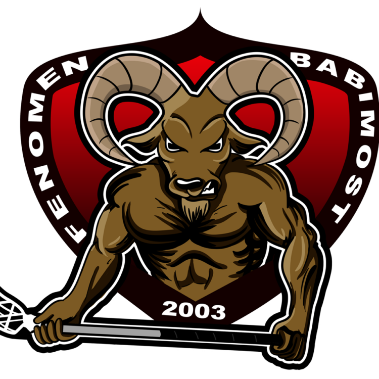 fot. www.facebook.com/fenomenbabimost - oficjalne logo klubu