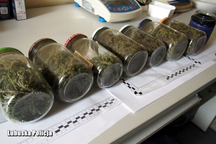 Policjanci ze Słubic przejęli 5 kg narkotyków