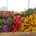 Smacznie i kolorowo w winobraniowej Strefie Produktu Regionalnego Radio Zachód - Lubuskie