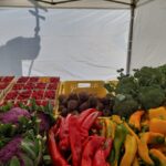 Smacznie i kolorowo w winobraniowej Strefie Produktu Regionalnego Radio Zachód - Lubuskie