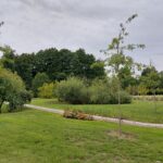 Świebodziński Central Park otwarty! Radio Zachód - Lubuskie