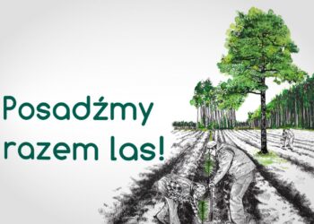 Posadźmy razem las