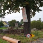 Przyborów walczy o historyczne dęby! Radio Zachód - Lubuskie