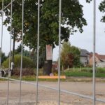 Przyborów walczy o historyczne dęby! Radio Zachód - Lubuskie