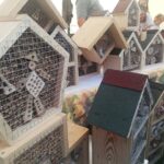 Żarskie Święto lasu i ochrony klimatu 19 Żarskie Święto lasu i ochrony klimatu Radio Zachód - Lubuskie