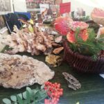 Żarskie Święto lasu i ochrony klimatu 10 Żarskie Święto lasu i ochrony klimatu Radio Zachód - Lubuskie