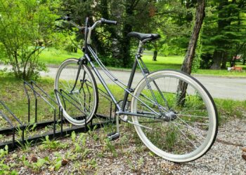 Fot. M.Poniedziałek