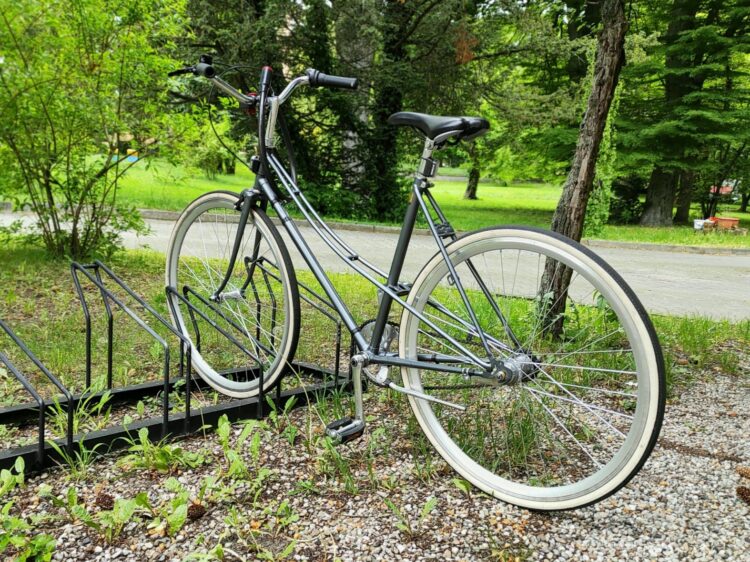 Fot. M.Poniedziałek