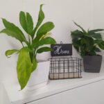 Nowy Dom Dziecka w Skwierzynie Radio Zachód - Lubuskie