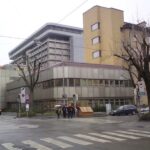 „Drzewko szczęścia”- posłuchaj reportażu Cezarego Galka i rozmowy z bohaterką Radio Zachód - Lubuskie