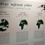 Multimedialny Ośrodek Muzealno-Edukacyjny w Słońsku Radio Zachód - Lubuskie