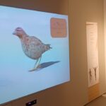 Multimedialny Ośrodek Muzealno-Edukacyjny w Słońsku Radio Zachód - Lubuskie