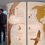 Multimedialny Ośrodek Muzealno-Edukacyjny w Słońsku Radio Zachód - Lubuskie