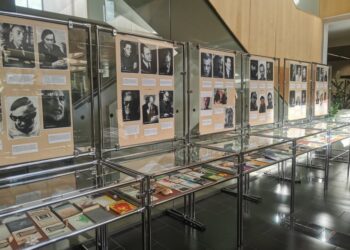 Fot. Agnieszka Wojnarowicz