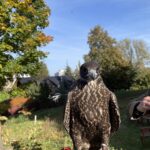 Myśliwi i leśnicy świętują "Hubertusa" Radio Zachód - Lubuskie