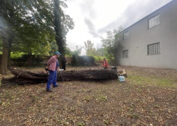 fot. Bartosz Schaefer