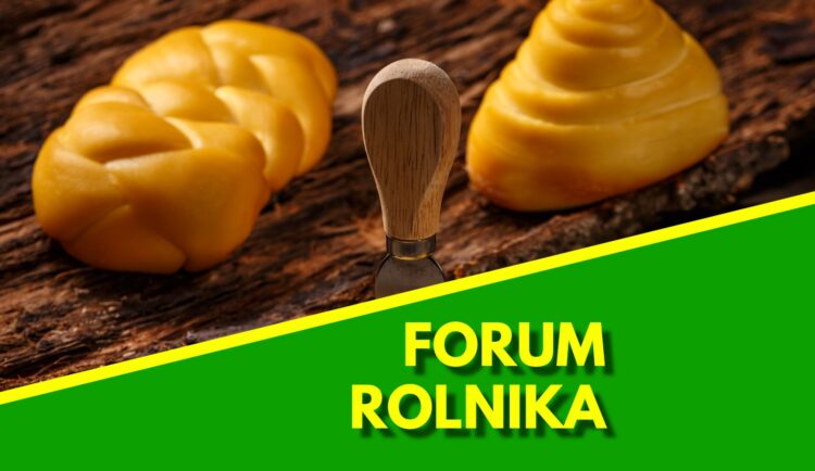 Forum Rolnika