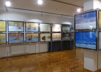 Fot. MM - Nowa Sól.