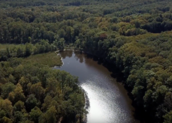 Las Nadodrzański / fot. DRON RZG