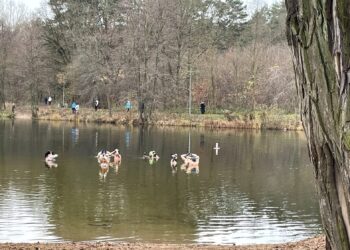 fot. Bartosz Schaefer