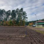 Lubuscy leśnicy sadzą drzewa w regionie Radio Zachód - Lubuskie