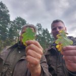 Lubuscy leśnicy sadzą drzewa w regionie Radio Zachód - Lubuskie