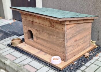 Fot. Urząd Miasta w Nowej Soli