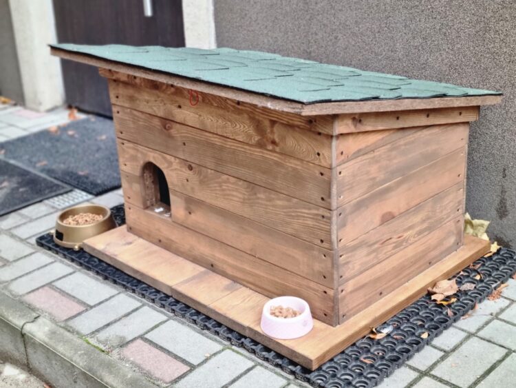 Fot. Urząd Miasta w Nowej Soli