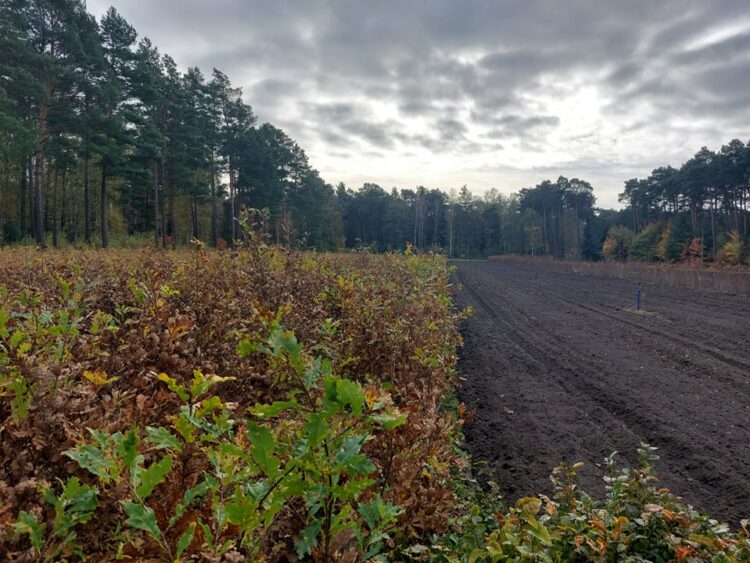 Fot. Zofia Popielecka