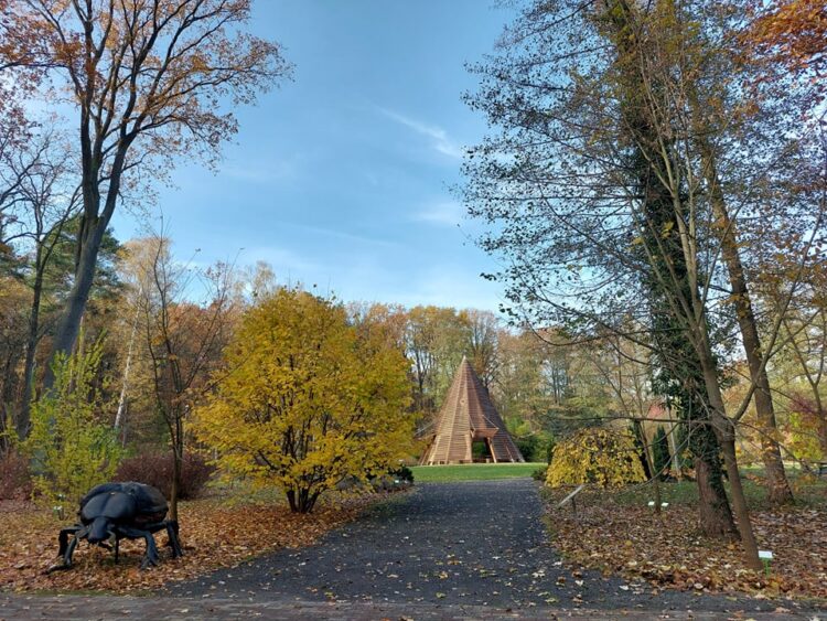 Fot. Zofia Popielecka