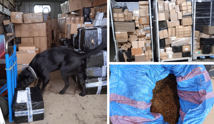 Fot. Izba Administracji Skarbowej w Zielonej Górze