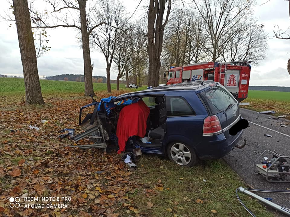 Dramat pod Świebodzinem. Kierowca uderzył w drzewo i zginął na miejscu Radio Zachód - Lubuskie