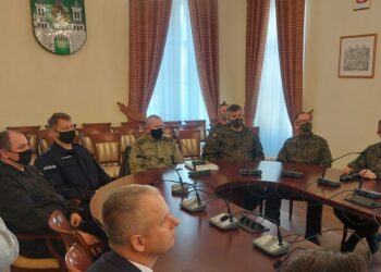 Nadzwyczajna Sesja Rady Miasta