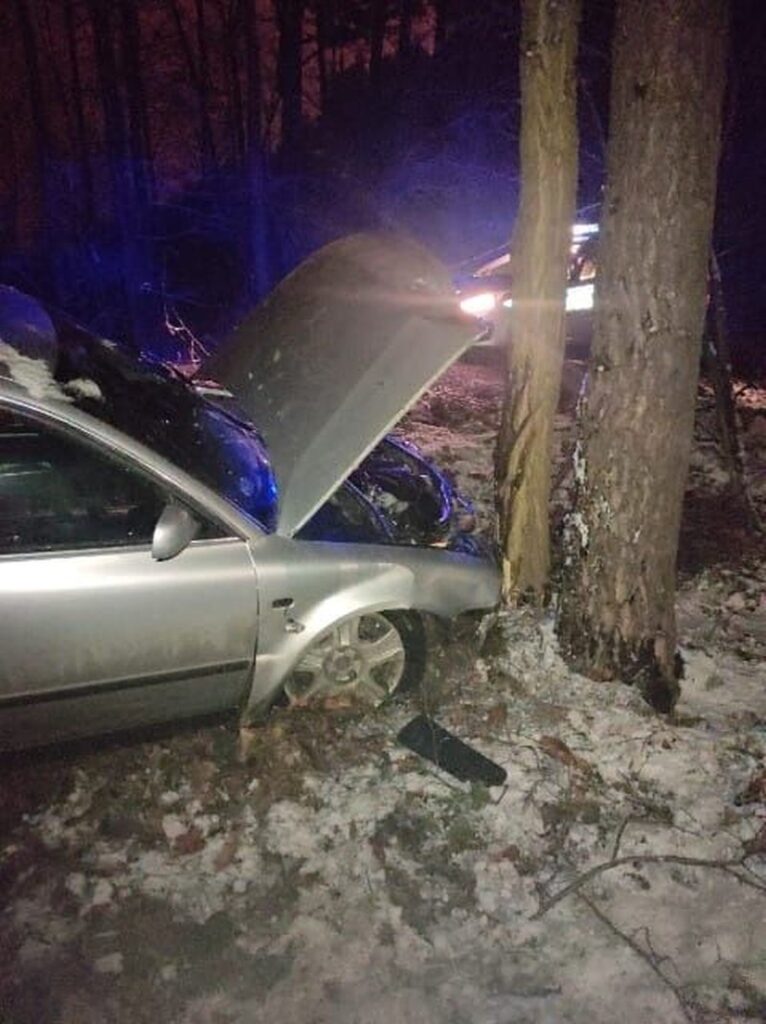 51-latek rozbił auto na drzewie, miał ponad trzy promile Radio Zachód - Lubuskie