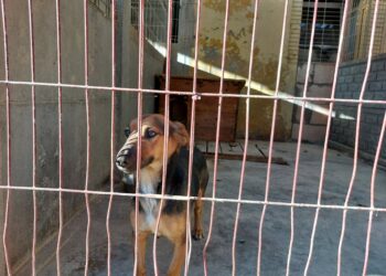 Fot. Zofia Popielecka