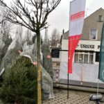 Choinka dla życia 2