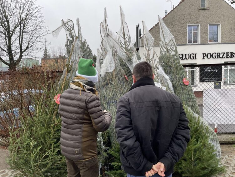 fot. Bartosz Schaefer