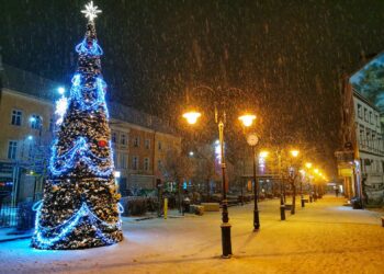 Fot. Łukasz Wojtasik.