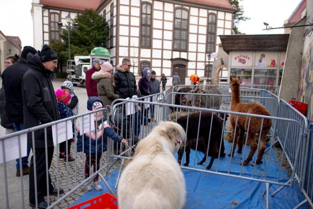 Lubuski Orszak Trzech Króli [DUŻO ZDJĘĆ] Radio Zachód - Lubuskie