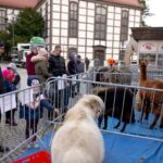 Lubuski Orszak Trzech Króli [DUŻO ZDJĘĆ] Radio Zachód - Lubuskie