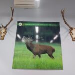 Spędź ferie z leśnikami w Jeziorach Wysokich [ZDJĘCIA] Radio Zachód - Lubuskie