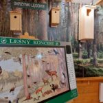 Spędź ferie z leśnikami w Jeziorach Wysokich [ZDJĘCIA] Radio Zachód - Lubuskie