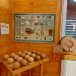 Spędź ferie z leśnikami w Jeziorach Wysokich [ZDJĘCIA] Radio Zachód - Lubuskie