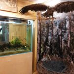 Spędź ferie z leśnikami w Jeziorach Wysokich [ZDJĘCIA] Radio Zachód - Lubuskie