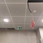 Nowy obiekt na terenie Muzeum Fortyfikacji i Nietoperzy w Pniewie [ZDJĘCIA] Radio Zachód - Lubuskie